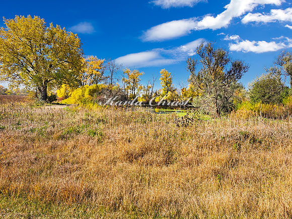 Pelican Lake Recreation Area 18 - October 19, 2023 Pelican Lake Recreation Area South Dakota