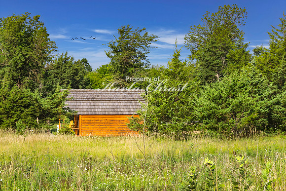 Lake Vermillion Recreation Area 13 - August 10, 2023