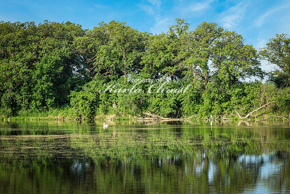Oakwood Lakes State Park 23 - June 6,  2023