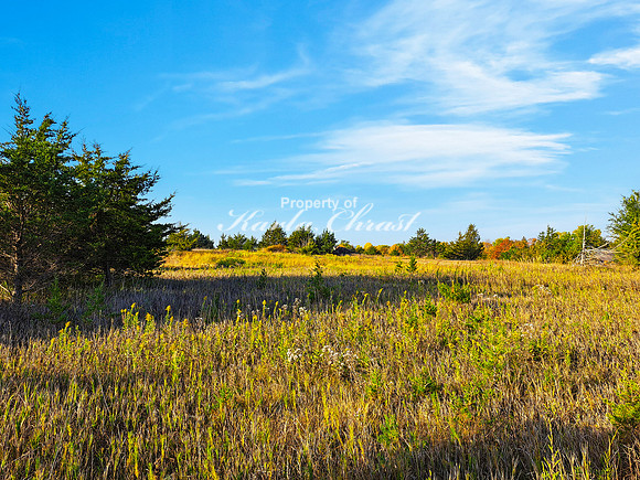 Lake Vermillion Recreation Area 25 - August 10, 2023