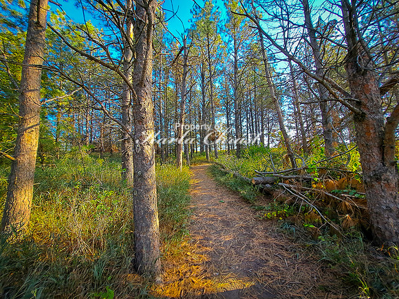 Lake Vermillion Recreation Area 39 - September 30, 2023