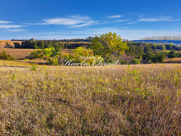 Lake Vermillion Recreation Area 30 - August 10, 2023