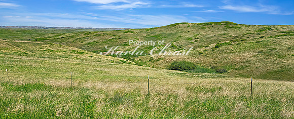 Little Bighorn Battlefield National Monument 40