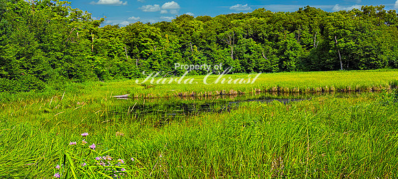 North Country National Scenic Trail 24 - July 30, 2024 North Country National Scenic Trail