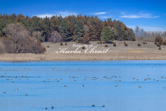 Oakwood Lakes State Park 40 - April 12, 2024