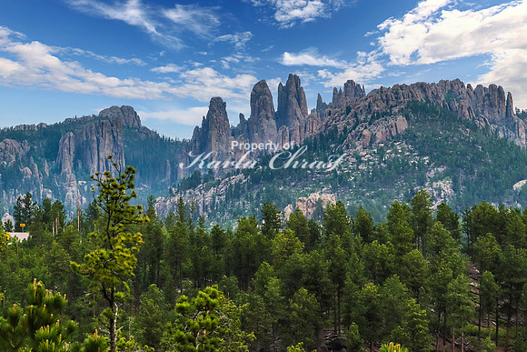Custer State Park 53 - June 12, 2023