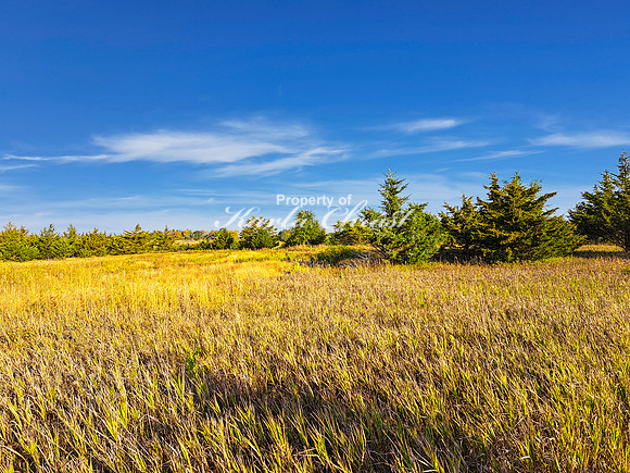 Lake Vermillion Recreation Area 21 - August 10, 2023