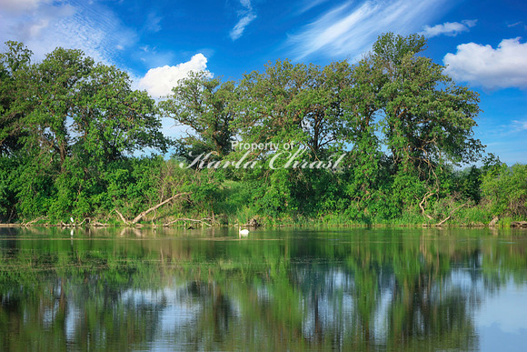 Oakwood Lakes State Park 22 - June 6,  2023