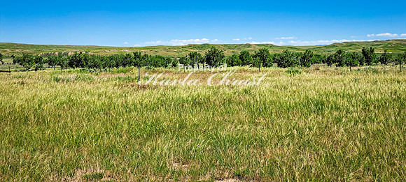Crazy Woman Crossing 13 - June 5, 2024 Wyoming