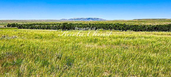Crazy Woman Crossing 11 - June 5, 2024 Wyoming