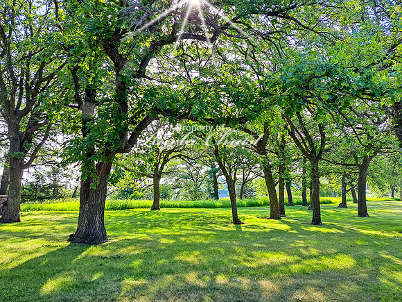 Oakwood Lakes State Park 19 - June 6,  2023
