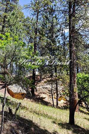Devils Tower National Monument Joyner Ridge Trail 1- June 4, 2024
