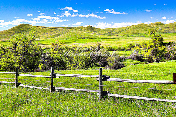 Fort Phil Kearny State Historic Site 16 - June 5, 2024 Wyoming