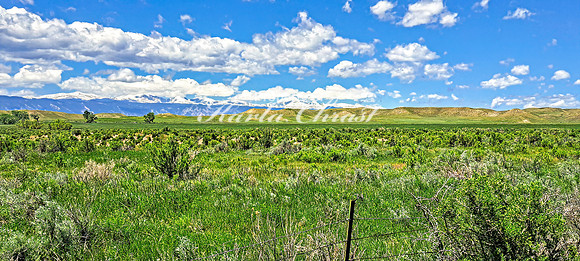 Crazy Woman Crossing 10 - June 5, 2024 Wyoming