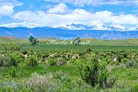 Crazy Woman Crossing 30 - June 5, 2024 Wyoming
