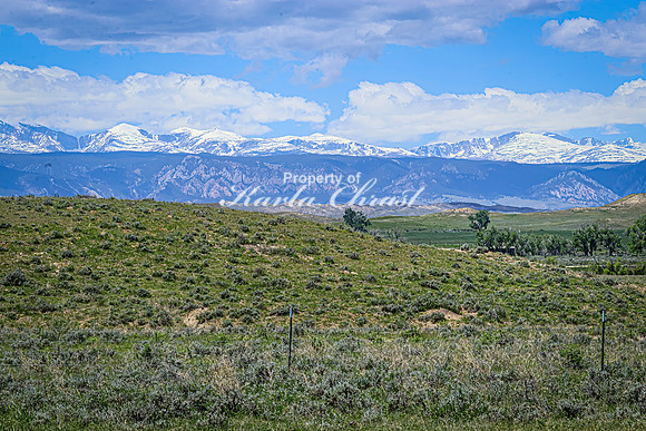 Crazy Woman Crossing 25 - June 5, 2024 Wyoming