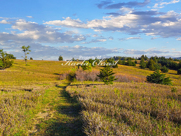 Lake Vermillion Recreation Area 32 - August 10, 2023