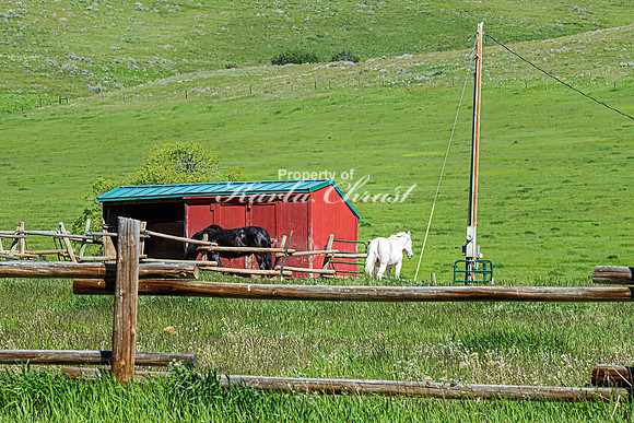 Fort Phil Kearny State Historic Site 55 - June 5, 2024 Wyoming