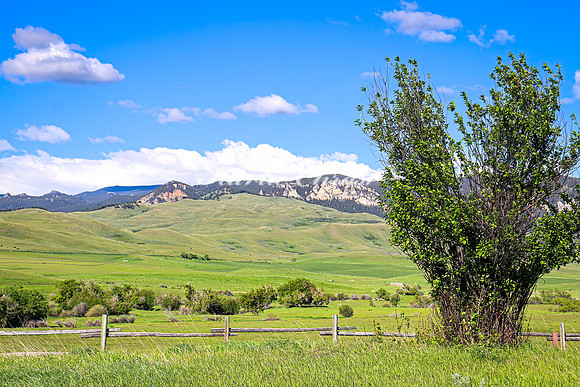 Fort Phil Kearny State Historic Site 6 - June 5, 2024 Wyoming