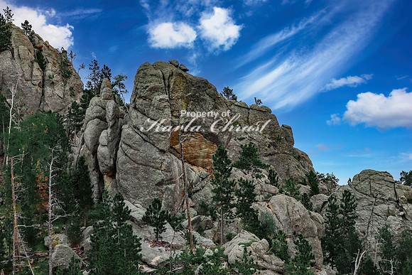 Custer State Park 61 - June 12, 2023