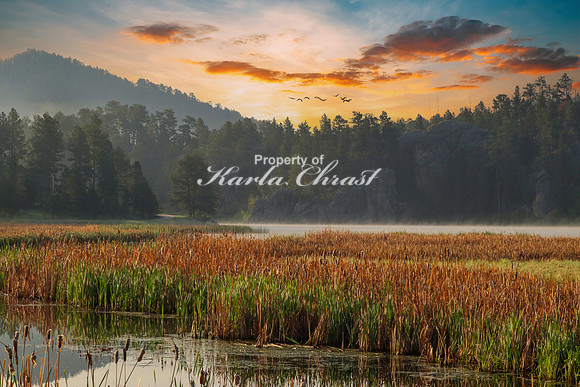 Custer State Park 48 - June 12, 2023