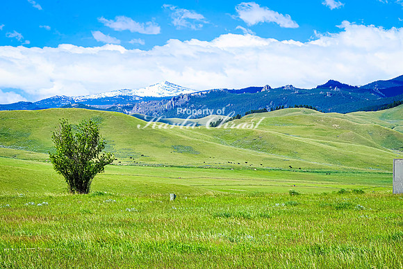 Fort Phil Kearny State Historic Site 54 - June 5, 2024 Wyoming