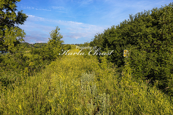 North Country National Scenic Trail 10 - June 28, 2023