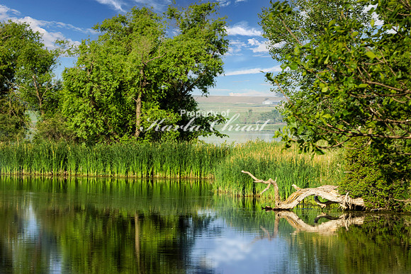 Oakwood Lakes State Park 21 - June 6,  2023