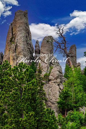 Custer State Park 55 - June 12, 2023