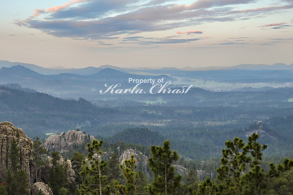 Custer State Park 57 - June 12, 2023