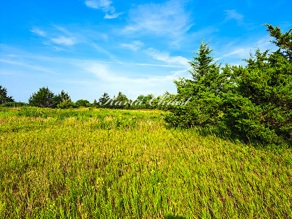 Lake Vermillion Recreation Area 7 - August 10, 2023