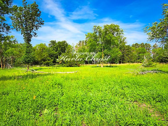 Tewaukon National Wildlife Refuge 4 - July 18, 2023