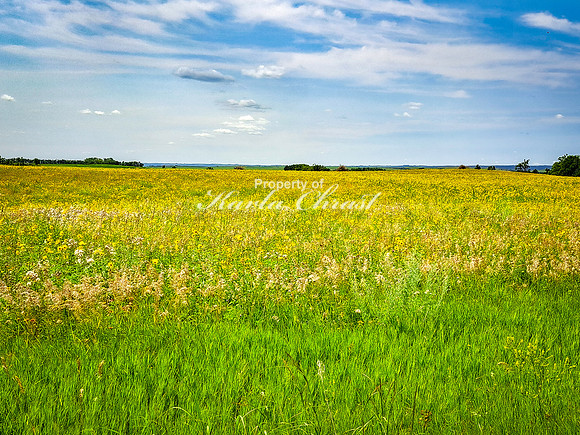 Tewaukon National Wildlife Refuge 7 - July 18, 2023