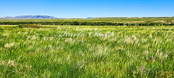 Crazy Woman Crossing 9 - June 5, 2024 Wyoming