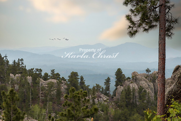 Custer State Park 60 - June 12, 2023