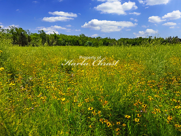 Tewaukon National Wildlife Refuge 3 - July 18, 2023