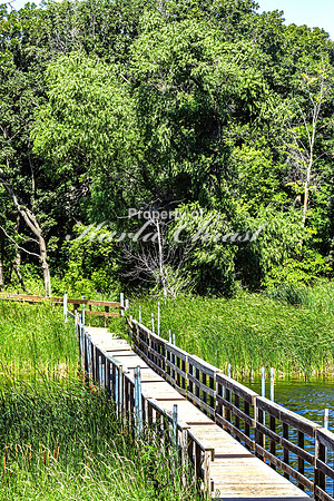 Roy Lake State Park 14 - August 14, 2023