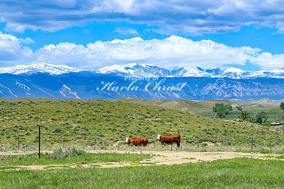 Crazy Woman Crossing 17 - June 5, 2024 Wyoming