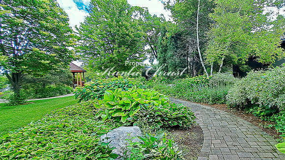 Garden Path - July 02, 2024 Rural Minnesota