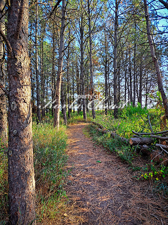 Lake Vermillion Recreation Area 40 - August 10, 2023