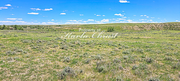 Crazy Woman Crossing 3 - June 5, 2024 Wyoming