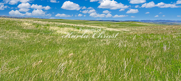 Little Bighorn Battlefield National Monument 39