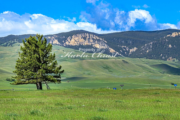 Fort Phil Kearny State Historic Site 58 - June 5, 2024 Wyoming
