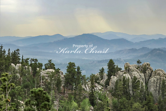 Custer State Park 59 - June 12, 2023