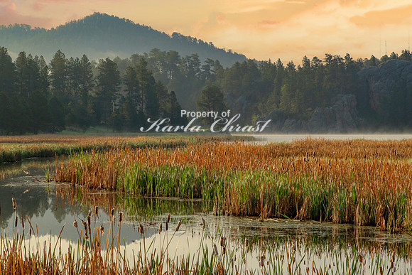 Custer State Park 47 - June 12, 2023