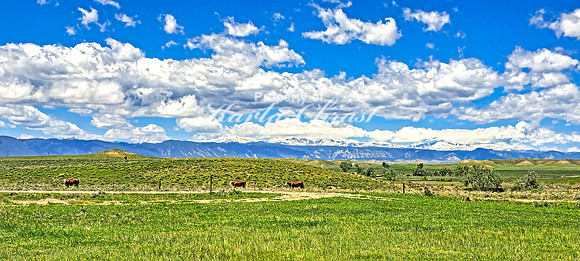 Crazy Woman Crossing 1 - June 5, 2024 Wyoming